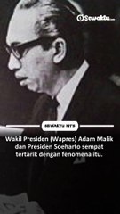 Penipuan Terbesar Cut Zahara Fona Sepanjang Sejarah RI dan Fenomena Janin Ajaib