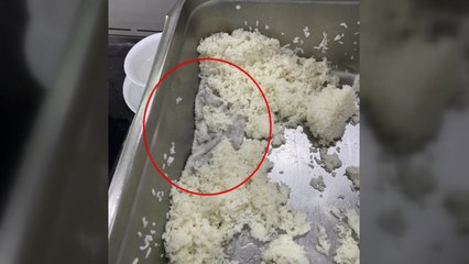 강원지역 스키장 식당 밥통에서 나온 수건...이용객 '눈살' / YTN