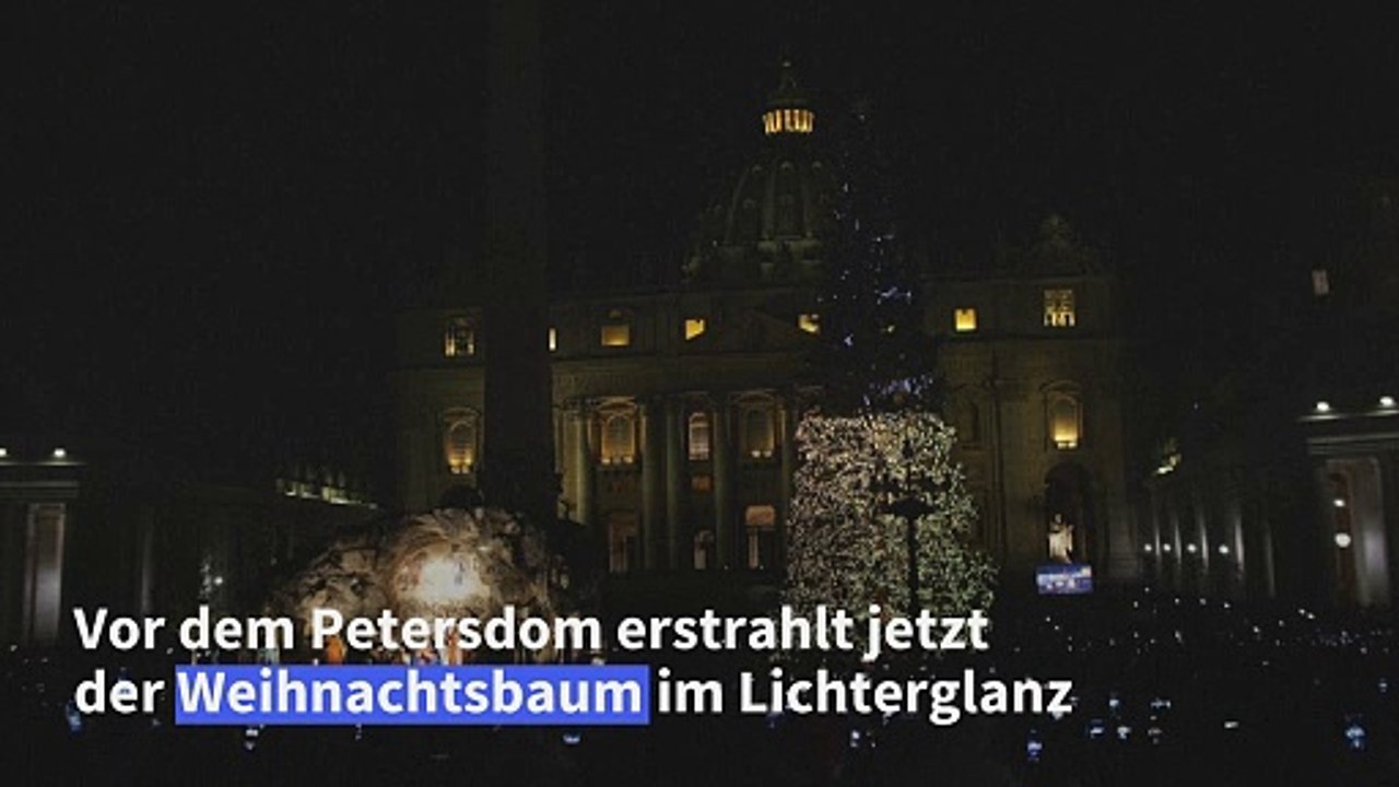 Weihnachtsbaum vor dem petersdom erstrahlt im lichterglanz