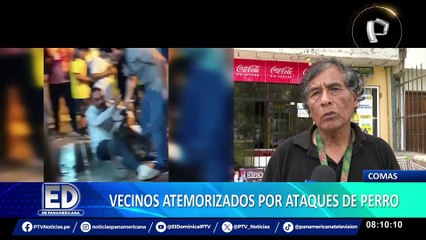 Perro generar terror en vecinos de Comas por conducta agresiva