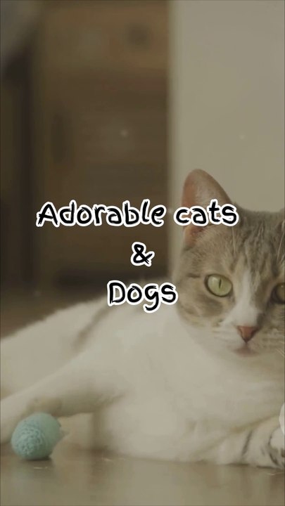 Awful Video Please Don't Watch it