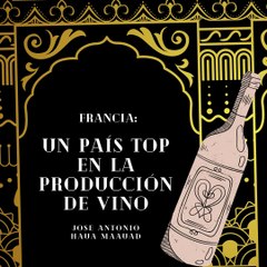 Jose Antonio Haua Maauad- Descubre las maravillas de las regiones vitivinícolas alrededor del mundo