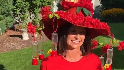 Family throw party with extravagant outfits to attract hummingbirds