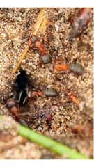 How To Teach Children | Kids | Urdu/Hindi | An Inspirational Story | Weird Stories