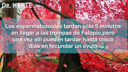 Hechos Psicológicos y Sexual3s Sobre Las Personas