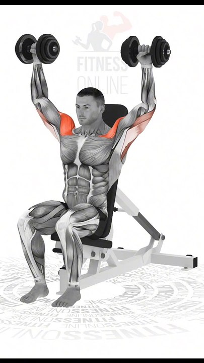 Shoulder exercises