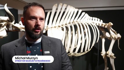 Tatry - w poszukiwaniu Tatrzańskiego Yeti