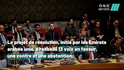 Cessez-le-feu à Gaza refusé par les États-Unis