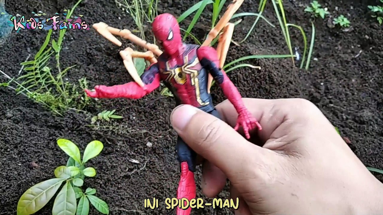 mencari mainan ultraman kids fams