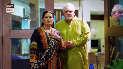 Dil Hi Tou Hai 2nd Last Episode  10 December 2023  ARY Digital Drama