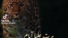 تمنيت