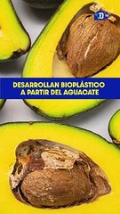 Desarrollan Bioplástico a partir del aguacate | La buena noticia