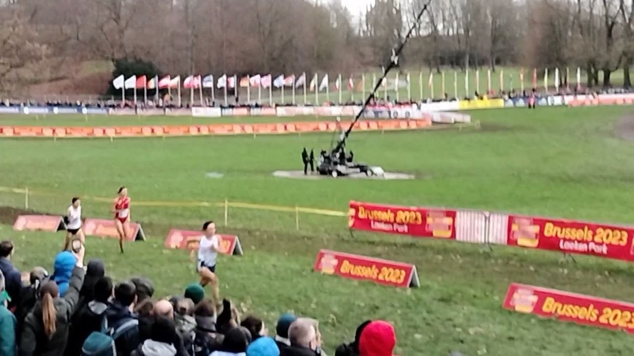 Championnats d'Europe de cross-country: Herbiet 9e, Thomas 23e
