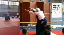 aikido nikyo 2