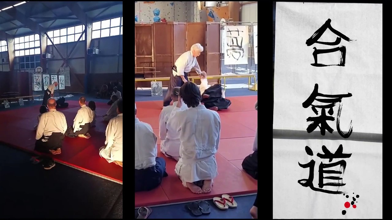 Aikido naname