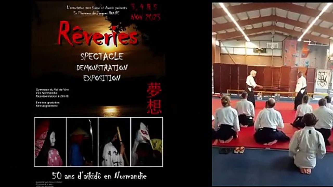 aikido irimi omote