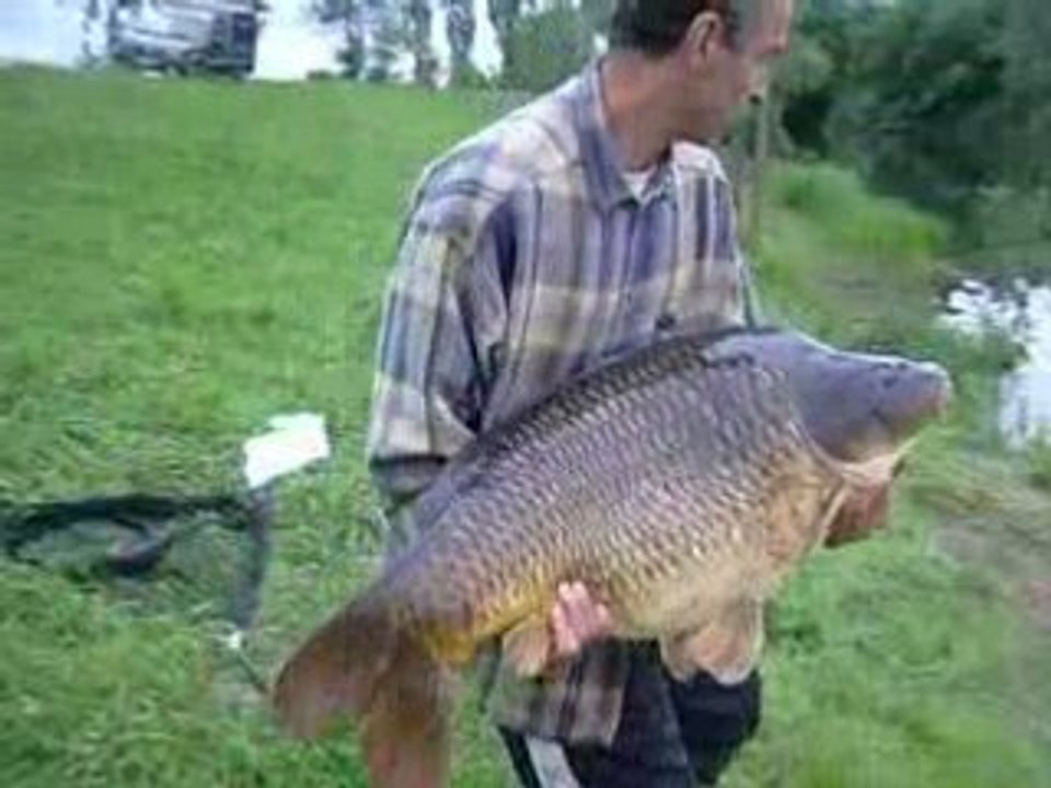 carpe de 19k