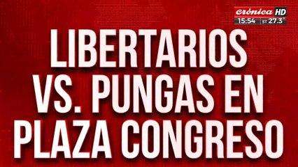 Libertarios vs "pungas" en el Plaza Congreso