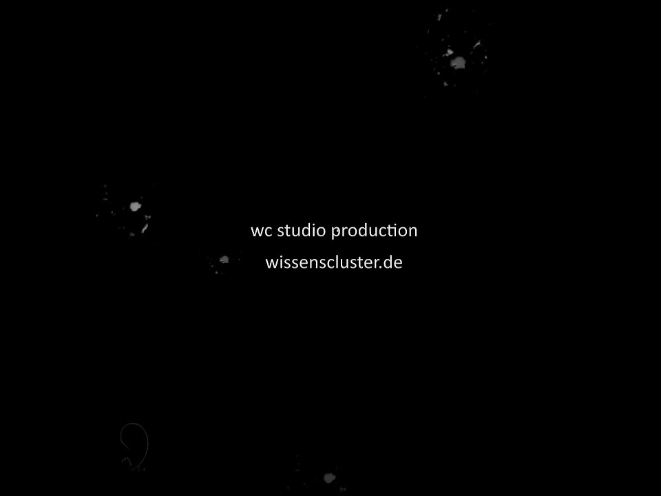 Bestbambus.de moso bambus