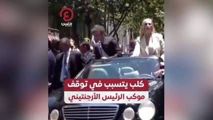 كلب يتسبب في توقف موكب الرئيس الأرجنتيني