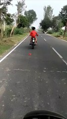 Bird Takes a Liking to Motor Biker