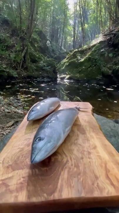 - Cooking Bonito Fillets Pressed Sushi on Natural Stone سوشي بونيتو ​​فيليه على الحجر الطبيعي