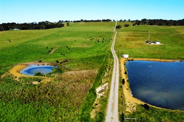 Marley Park, FP | December 11, 2023 | Farmonline