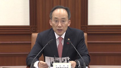 추경호 "요소 할당관세 내년까지 연장...시장 안정적" / YTN