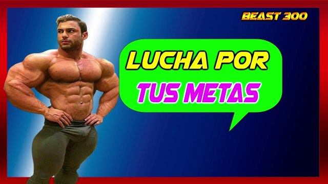 LUCHA POR TUS METAS MOTIVACION GIM ( BEAST 300 )