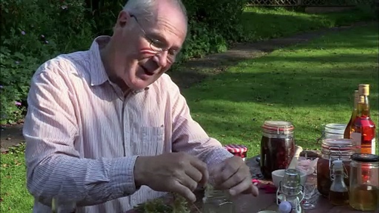 River Cottage Bites