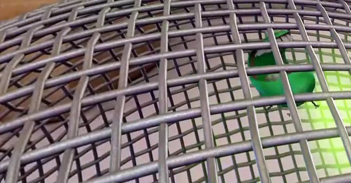 Erky Perky Erky Perky S03 E013 Wheres Cecil