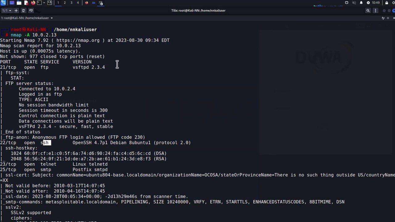 Penetration Testing with Hydra and Kali Linux