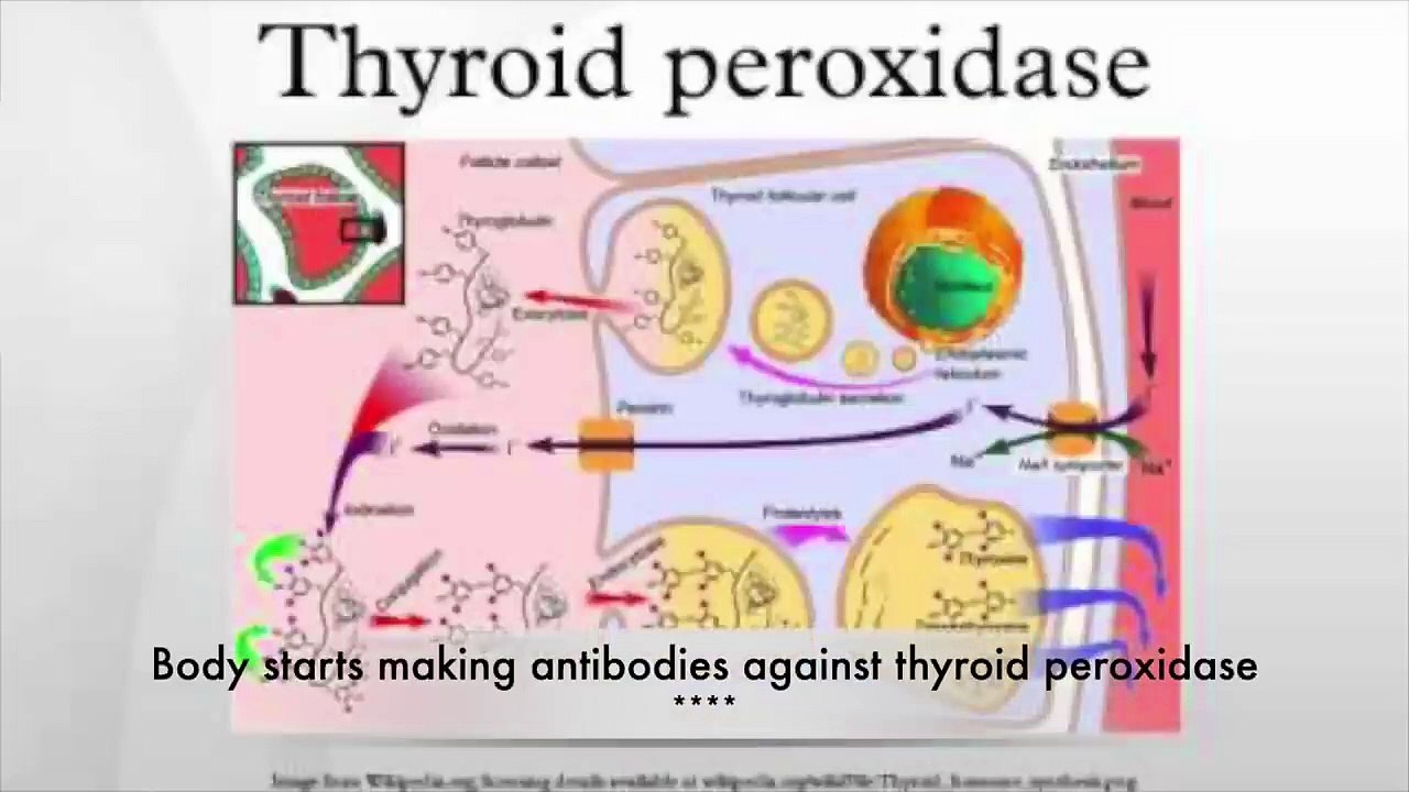 The #1 Most Important Nutrient for Hypothyroidism I हाइपोथायरायडिज्म