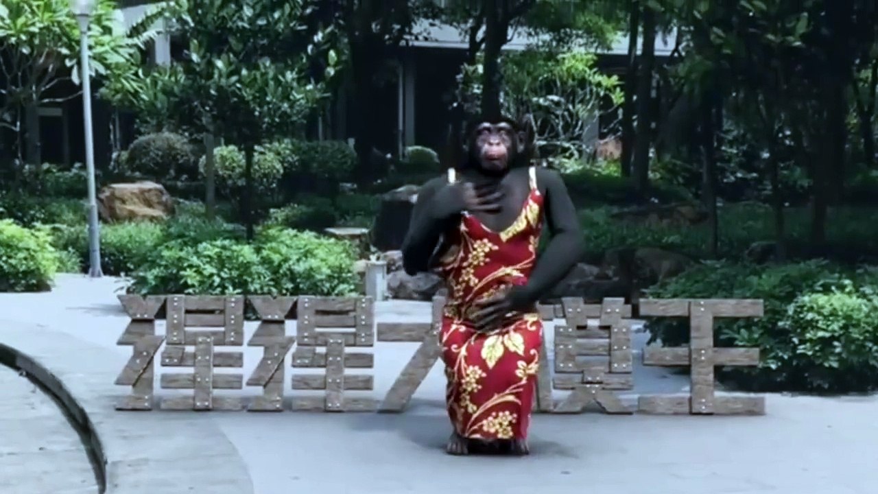 funny show 大猿王跳舞