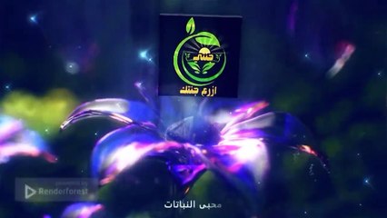 طريقة ناجحة ومجربة،اكثار النباتات من العقل فى كل فصول العام وبأسهل الطرق