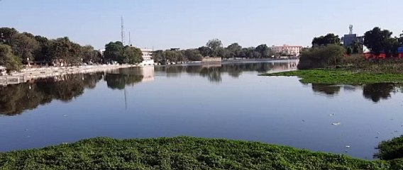 जलकुंभी और नालों के पानी से दम तोड़ रहे तालाब