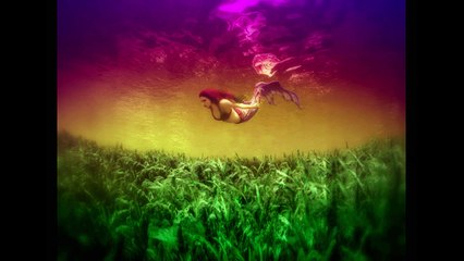 Trésor de la Mer Art Prints - Extraordinary Artwork for Homes, Offices, Hotels, Event Venues & more