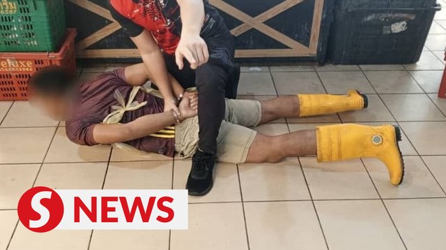 Johor Immigration nabs 114 illegals in Tampoi operation