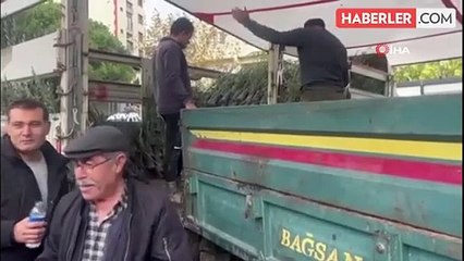 Buldan'da 17 bin fidan toprakla buluşacak
