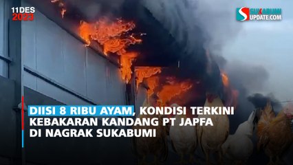 Diisi 8 Ribu Ayam, Kondisi Terkini Kebakaran Kandang PT Japfa di Nagrak Sukabumi