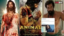 Animal Box-office Collection: 10th Day पर आखिर क्यों हुआ Collection में इतना बड़ा Change? FilmiBeat