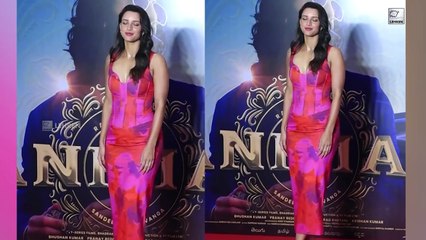 Animal Actress Anshul Chauhan Shares Her Working Experince With Ranbit Kapoor