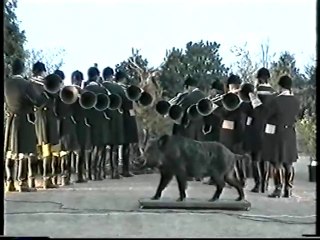 Concert Trompes du Val de saire 28 Juillet 2006