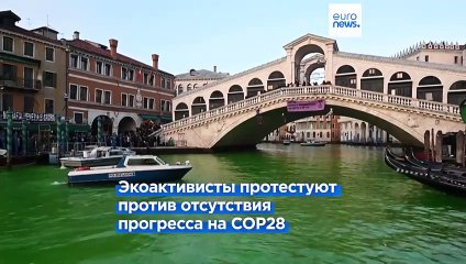 Гранд-канал в Венеции окрасили в зеленый цвет