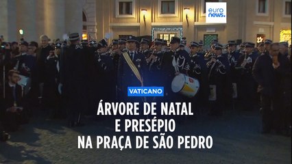 Já há árvore de Natal na Praça de São Pedro, no Vaticano