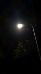 اللهم ارحم موتانا و موت المسلمين