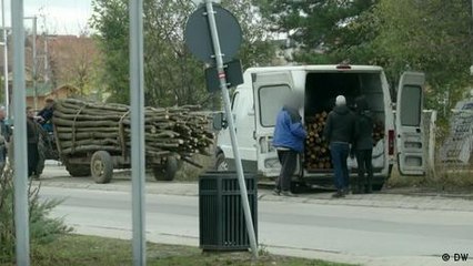 Illegal firewood threatens forests in Kosovo