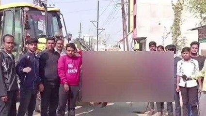 मुरैना: कृषि उपज मण्डी में खुले नाले में गिरने से गौवंश की हुई मौत