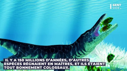 Le crâne d’un immense pliosaure découvert sur une plage, c’était un vrai T-Rex des mers