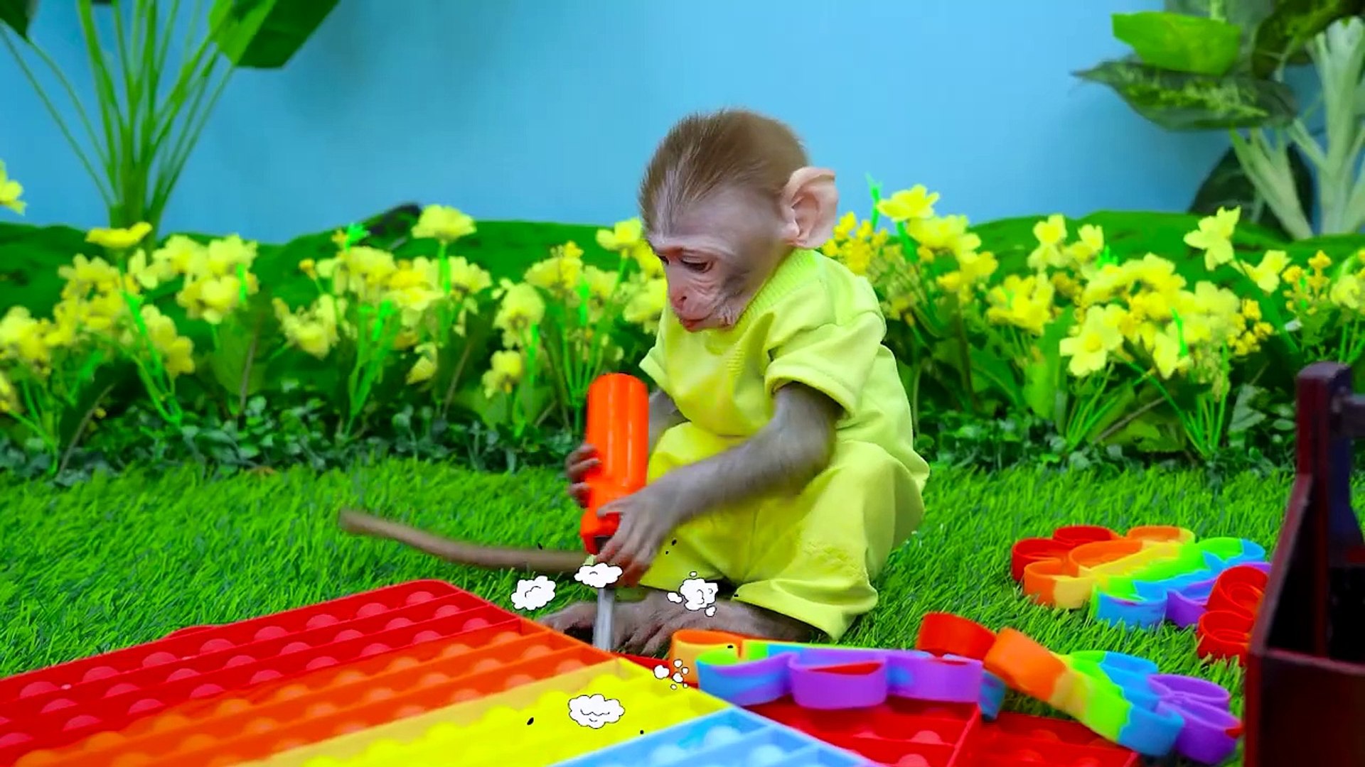 KiKi Monkey brush teeth and bathing in the toilet and play with